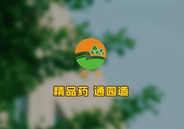 vwin德赢官网形象篇