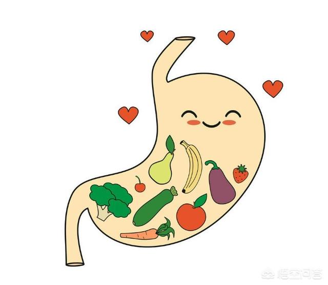 胃真的会被越撑越大，越饿越小吗？